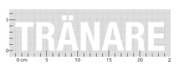 STANDARDARTIKEL: TRÄNARE