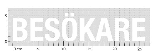 STANDARDARTIKEL: BESÖKARE