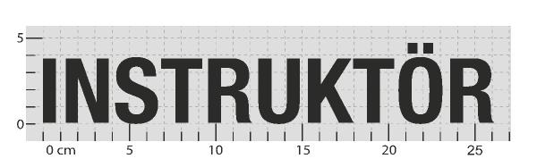 STANDARDARTIKEL: INSTRUKTÖR