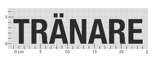STANDARDARTIKEL: TRÄNARE