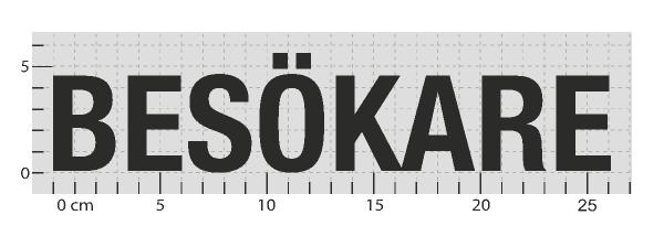 STANDARDARTIKEL: BESÖKARE